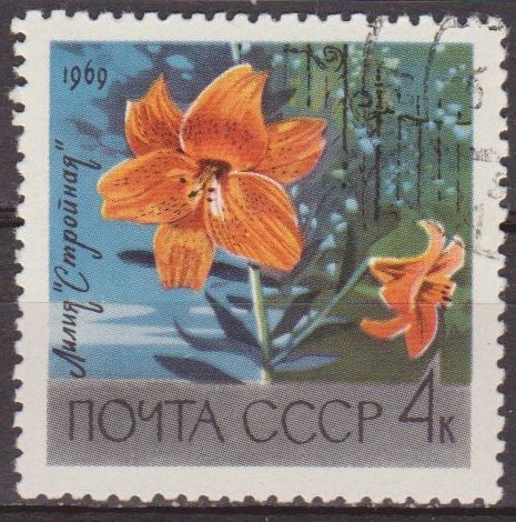 z vendido Rusia URSS 1969 Scott 3597 Sello Flora Flor Lila Stroynaya Usado Russia 